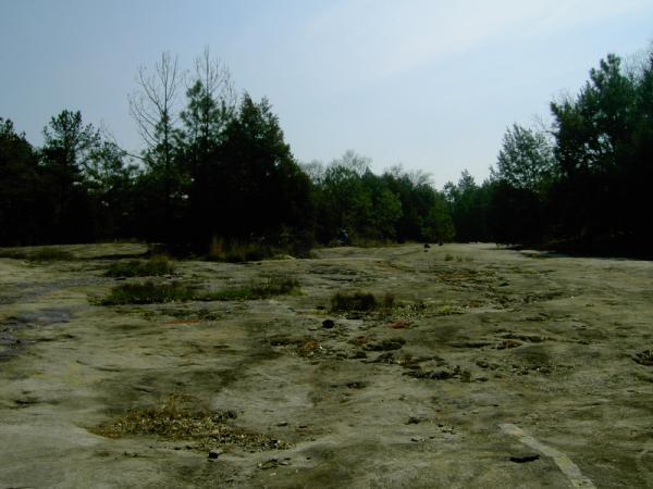 A rocky landscape with sparse vegetation and scattered trees under a clear sky. The ground is mostly flat and barren, with visible texture and some patches of grass. The scene conveys a sense of desolation and natural beauty. Georgia International Horse Park mountain bike trail.