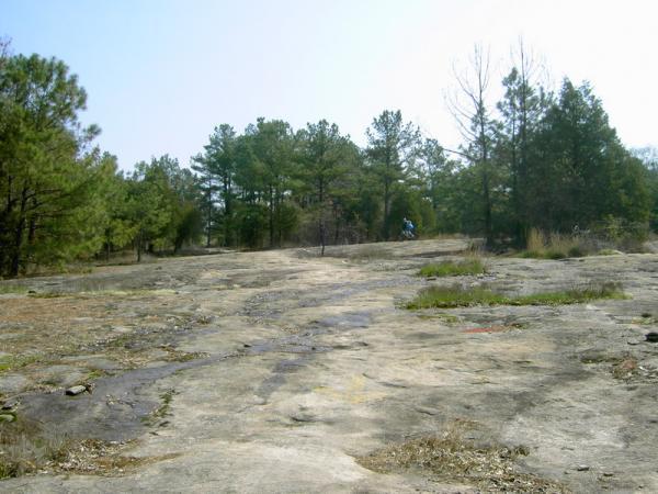 A rocky terrain with sparse vegetation, set against a backdrop of tall trees under a clear sky. A person is visible in the distance, walking along the rocky surface. The scene conveys a sense of outdoor exploration and natural beauty. Georgia International Horse Park mountain bike trail.