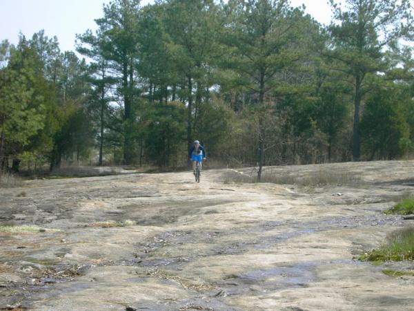 A person biking on a rocky trail surrounded by tall pine trees, with a clear sky in the background. The path is uneven and consists of exposed rock, indicating a natural outdoor setting suitable for mountain biking. Georgia International Horse Park mountain bike trail.