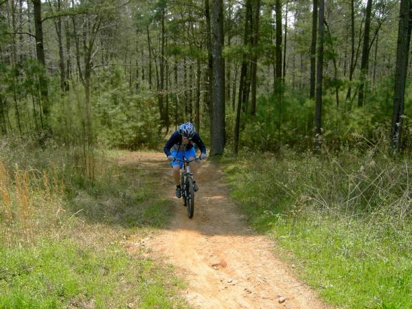 A person riding a mountain bike on a dirt trail through a forest, surrounded by trees and greenery. The cyclist is wearing a blue helmet and a blue outfit, leaning forward as they navigate the path. Georgia International Horse Park mountain bike trail.