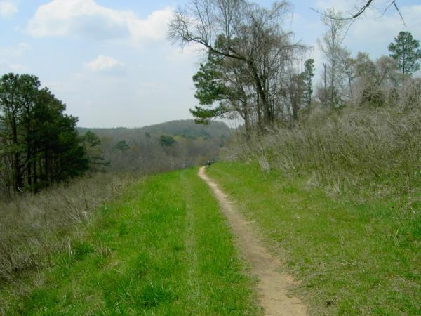 A scenic dirt path winding through lush greenery, flanked by trees and sparse brush under a cloudy sky. The trail leads towards distant rolling hills, inviting exploration in a tranquil natural setting. Georgia International Horse Park mountain bike trail.