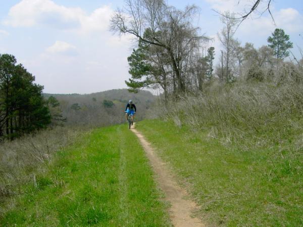A person riding a mountain bike along a narrow dirt trail, surrounded by lush greenery and trees, against a backdrop of rolling hills under a partly cloudy sky. Georgia International Horse Park mountain bike trail.