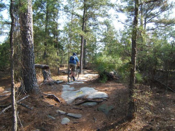 A person riding a mountain bike along a rocky trail in a forested area, surrounded by tall trees and greenery. The path is uneven, with patches of sunlight filtering through the foliage. Georgia International Horse Park mountain bike trail.
