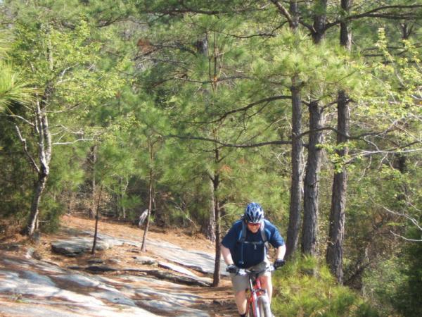 A mountain biker riding a trail through a wooded area, surrounded by tall pine trees and rocky terrain on a bright, sunny day. Georgia International Horse Park mountain bike trail.