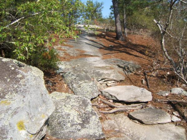 A rocky path surrounded by trees and underbrush, leading uphill on a sunny day. The ground is primarily made up of large, flat stones with patches of moss and leaf litter scattered around. Georgia International Horse Park mountain bike trail.