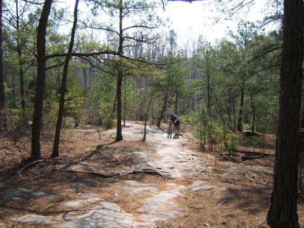 A person riding a bike on a rocky trail surrounded by pine trees and underbrush in a wooded area. The scene captures a sunny day with clear skies and natural scenery. Georgia International Horse Park mountain bike trail.