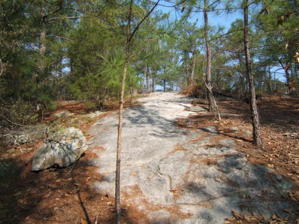 A sunlit pathway leading up a rocky slope, surrounded by pine trees and scattered leaves. The scene captures a natural forest setting with clear blue skies above. Georgia International Horse Park mountain bike trail.