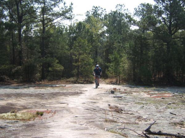A cyclist riding on a rocky trail surrounded by dense green trees under a clear sky. Georgia International Horse Park mountain bike trail.