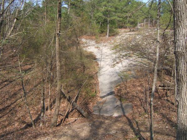 A rocky trail winding through a wooded area, surrounded by trees and sparse underbrush. The scene features a mix of dirt and leaves, hinting at a natural incline leading upward. Sunlight filters through the branches, creating a peaceful outdoor atmosphere. Georgia International Horse Park mountain bike trail.