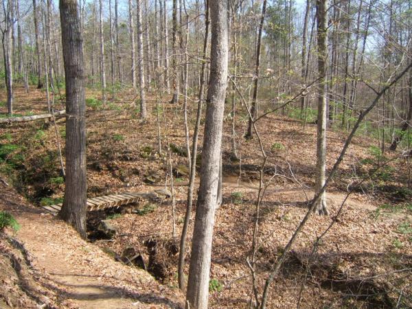 A serene forest scene featuring bare trees and a wooded path leading to a small wooden bridge over a creek. The ground is covered with fallen leaves, and sunlight filters through the branches, illuminating the natural landscape. Georgia International Horse Park mountain bike trail.