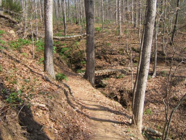A winding dirt path through a forest, surrounded by tall trees and scattered leaves. A wooden bridge crosses a small ravine, adding to the natural scenery of the area. Georgia International Horse Park mountain bike trail.