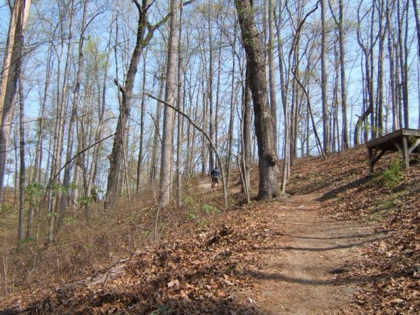 A winding dirt trail leads through a sunlit forest with tall, bare trees in early spring. The path is lined with fallen leaves, and a small wooden bench can be seen to the right. In the distance, a figure walks along the trail, creating a sense of adventure and exploration in a natural setting. Georgia International Horse Park mountain bike trail.
