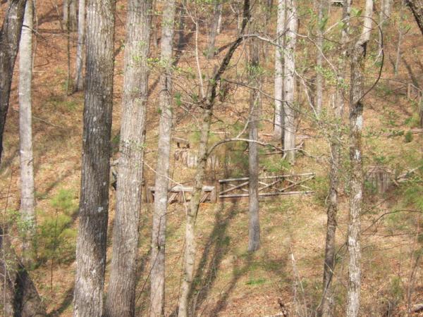 A view of a wooded area featuring tall trees and fallen leaves, with a wooden fence partially visible in the background. The scene captures a serene natural environment. Georgia International Horse Park mountain bike trail.