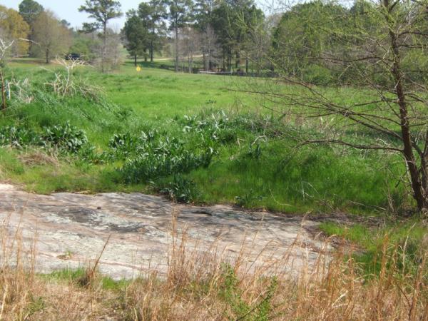 A rocky area in the foreground with sparse dry grass, leading to a lush green field in the background dotted with trees. The scene captures a peaceful natural landscape on a sunny day, showcasing the contrast between the rock surface and the vibrant greenery. Georgia International Horse Park mountain bike trail.