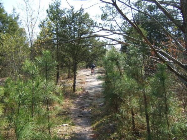 A person riding a bike along a rocky trail surrounded by dense greenery and trees. The path is narrow and winds through a natural setting with sunlight filtering through the foliage. Georgia International Horse Park mountain bike trail.