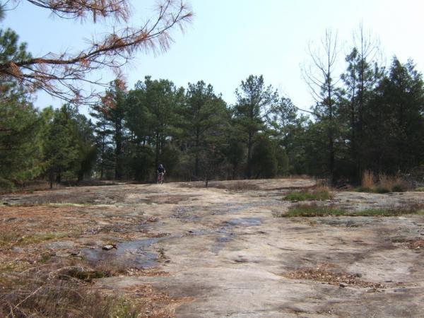 A rocky landscape with a person walking in the distance, surrounded by trees. Sparse vegetation can be seen on the rocky ground, with patches of water reflecting the sky. The scene is bathed in natural light, indicating a clear day. Georgia International Horse Park mountain bike trail.