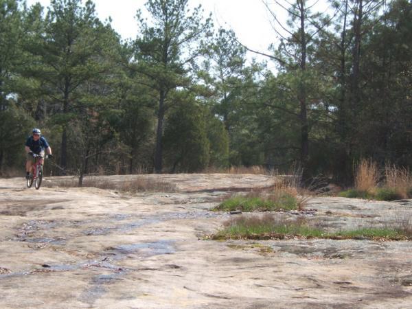 A mountain biker rides on a rocky trail surrounded by tall pine trees and sparse vegetation under a clear sky. Georgia International Horse Park mountain bike trail.