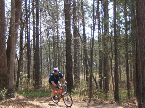 A cyclist riding a mountain bike along a dirt trail in a wooded area, surrounded by tall trees. The rider is wearing a helmet and is leaning forward as they navigate a turn. Sunlight filters through the branches, creating a serene outdoor scene. Georgia International Horse Park mountain bike trail.