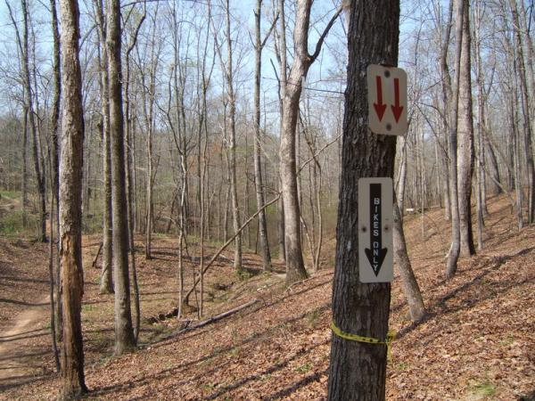 A forested area with bare trees and a dirt trail. Two directional signs are attached to a tree: one with red arrows pointing downward and another labeled "Bikes Only" with an arrow indicating the direction for bike riders. The ground is covered in brown leaves, and the scene is set under a clear blue sky. Georgia International Horse Park mountain bike trail.