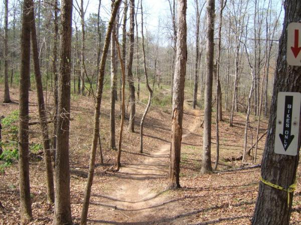 A dirt mountain bike trail winding through a wooded area, with tall, bare trees and fallen leaves on the ground. A sign indicating "Bikes Only" is visible on the right side of the image. The sunlight filters through the branches, illuminating the path. Georgia International Horse Park mountain bike trail.