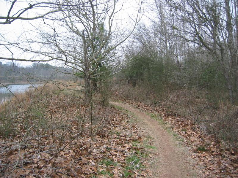 A narrow dirt path winding through a wooded area with bare trees and underbrush, alongside a calm body of water. The ground is covered with brown leaves, suggesting a cooler season. The scene conveys a peaceful, natural setting. Pumping Station mountain bike trail.