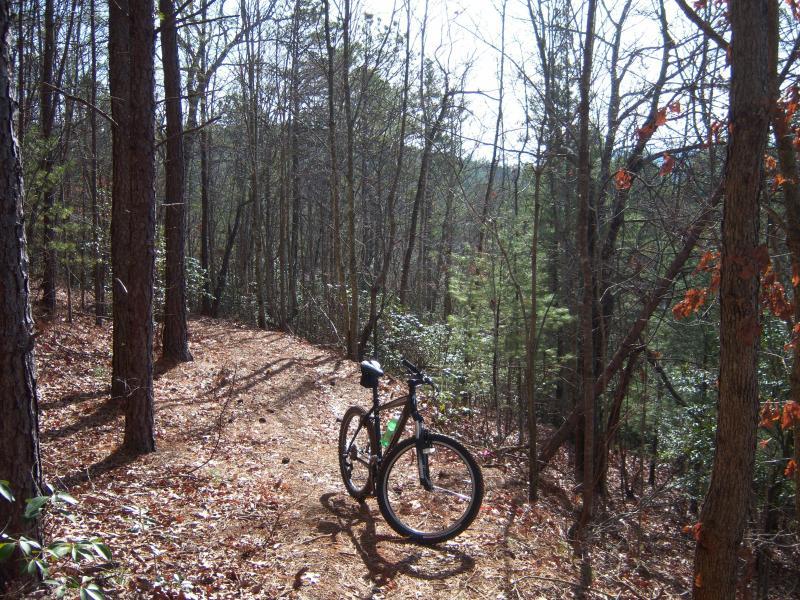 A mountain bike resting on a dirt trail surrounded by bare trees and dense greenery, indicating a forested area with sunlight filtering through the branches. Stonewall Falls Loop mountain bike trail.