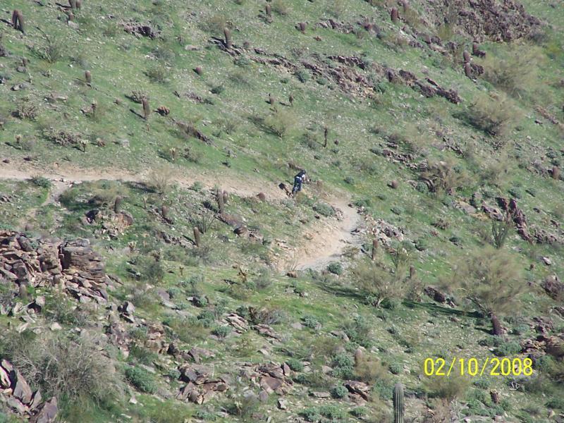 A mountainous landscape with a winding dirt path. A person is riding a mountain bike along the trail, surrounded by green vegetation and scattered rocks. Cacti and small bushes are visible on the hillside, under a clear sky. Hawes Loop mountain bike trail.