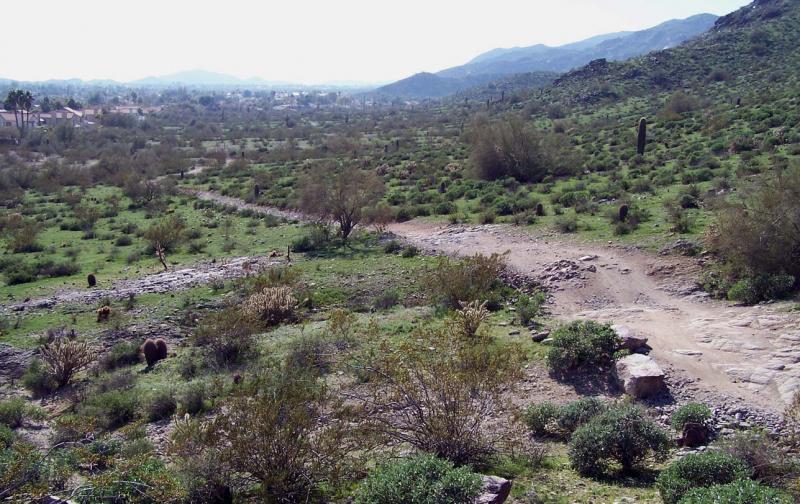 A panoramic view of a desert landscape featuring rolling hills and sparse vegetation, including shrubs and cacti. A dirt path winds through the scene, leading into the distance where homes are visible near the horizon. The sky is bright with soft clouds, and the overall atmosphere is serene and natural. Hawes Loop mountain bike trail.