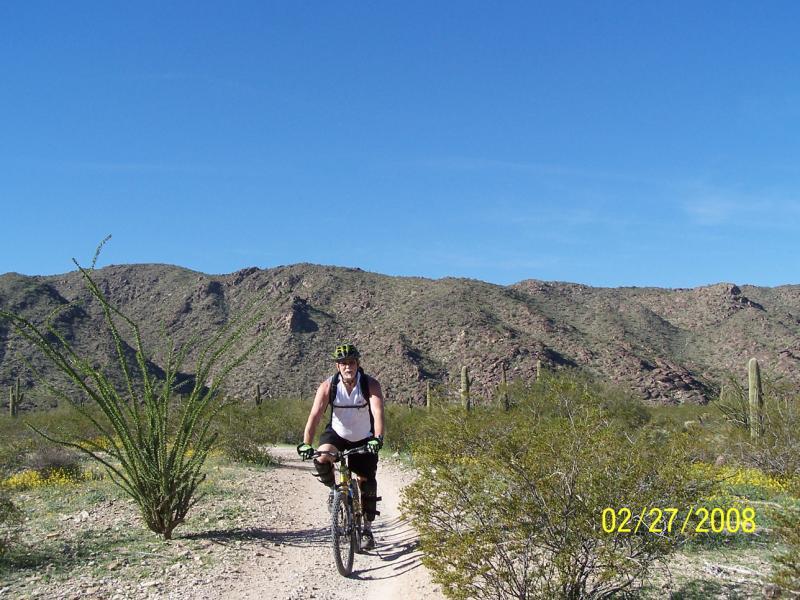 A cyclist riding a mountain bike along a dirt trail in a desert landscape, with mountain peaks in the background and sparse vegetation including cacti and shrubs. The sky is clear and blue, indicating a sunny day. Hawes Loop mountain bike trail.