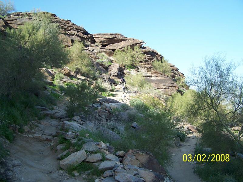 A rocky hiking trail winds through a desert landscape, surrounded by dry shrubs and large boulders, under a clear blue sky. Hawes Loop mountain bike trail.
