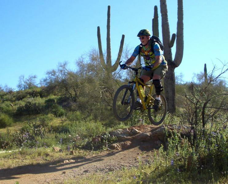 A mountain biker mid-jump on a dirt trail surrounded by desert vegetation and tall cacti under a clear blue sky. Hawes Loop mountain bike trail.