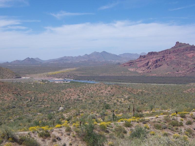 A panoramic view of a desert landscape featuring rolling hills, sparse vegetation, and a body of water in the distance. The scene includes cacti and wildflowers in the foreground, with rugged mountains under a bright blue sky scattered with clouds. Hawes Loop mountain bike trail.
