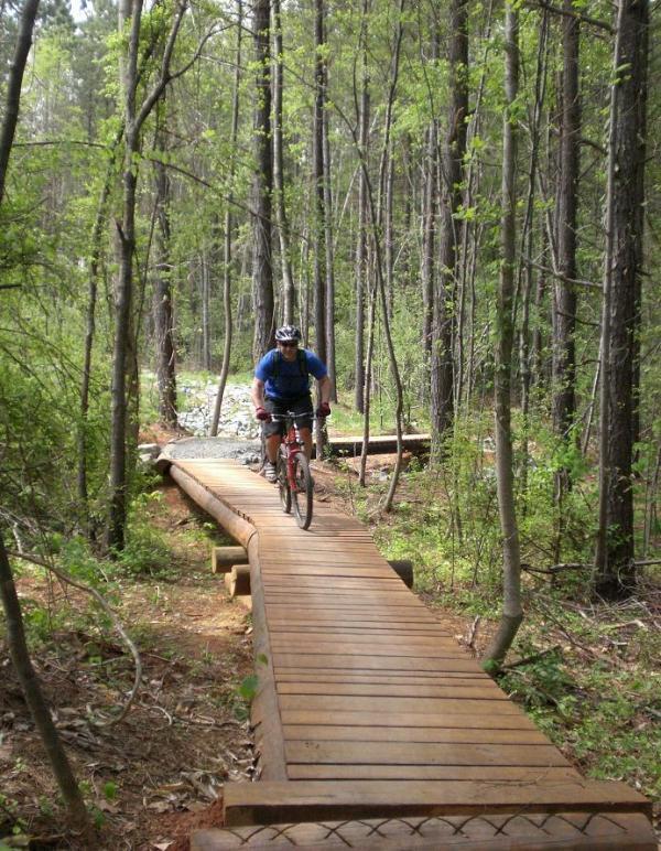 A person riding a mountain bike on a wooden trail through a lush green forest. The path is surrounded by trees and foliage, with sunlight filtering through the canopy above. USNWC mountain bike trail.