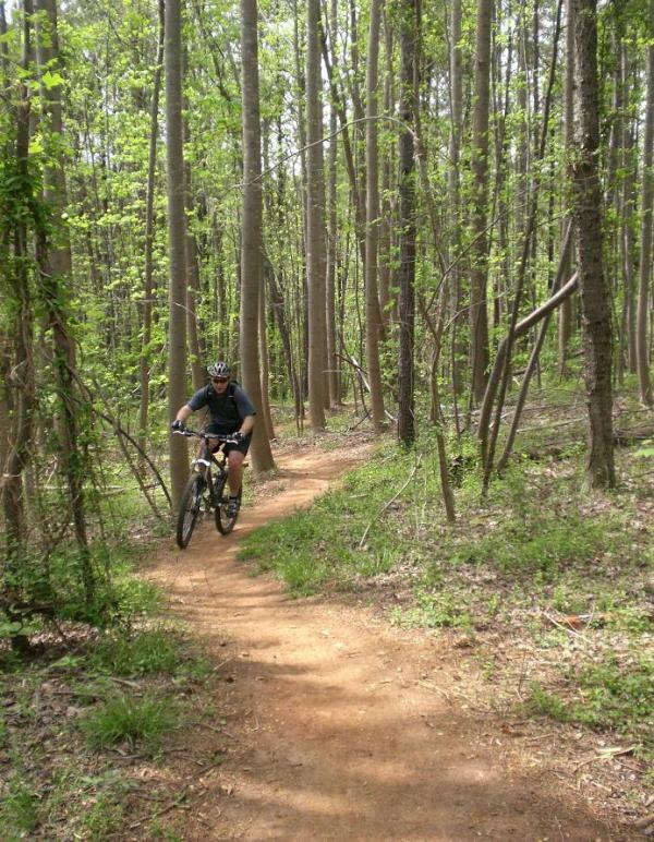 A cyclist riding a mountain bike along a dirt trail in a lush, green forest with tall trees and fresh foliage. USNWC mountain bike trail.