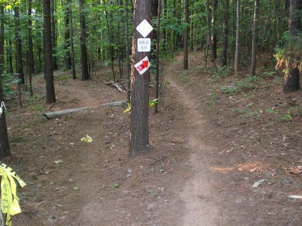 A dirt trail splits into two paths in a wooded area, with a signpost marked "MILE 6.0" on a tree. The surroundings are lush with green foliage and scattered fallen branches. Yellow trail markers can be seen along the left path, indicating a hiking or biking route. USNWC mountain bike trail.