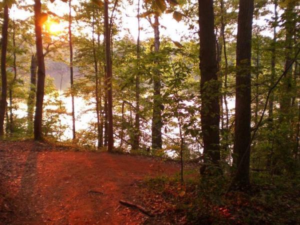 A serene forest scene at sunset, featuring a dirt path winding through tall trees with lush green foliage. The soft glow of the setting sun filters through the leaves, casting golden light on the path and illuminating the tranquil waters of a lake visible in the background. USNWC mountain bike trail.