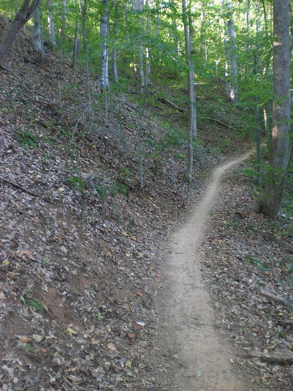 A narrow dirt trail winding through a lush green forest, surrounded by trees and covered with fallen leaves. USNWC mountain bike trail.