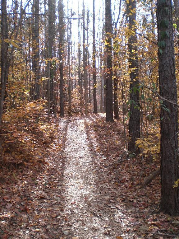  USNWC mountain bike trail.