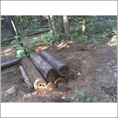 A stack of cut logs resting on the forest floor, surrounded by greenery and trees. The ground is covered with pine needles and small plants. USNWC mountain bike trail.