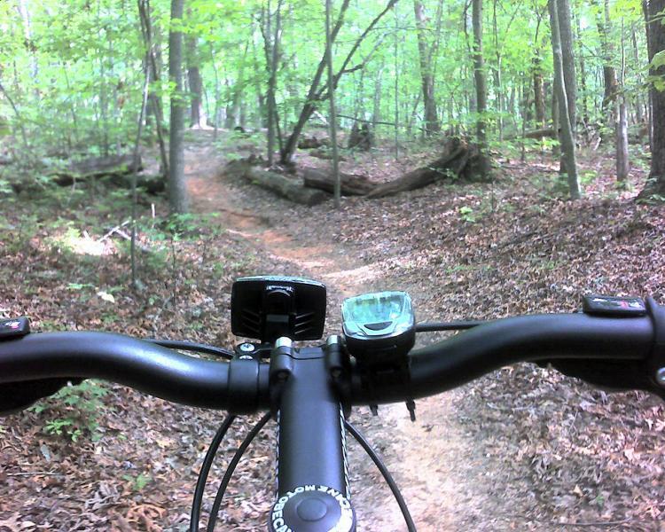 View from the handlebars of a mountain bike on a dirt trail, surrounded by lush green trees and foliage. The path winds through the forest, with fallen logs and leaves visible on the ground. Country Park mountain bike trail.