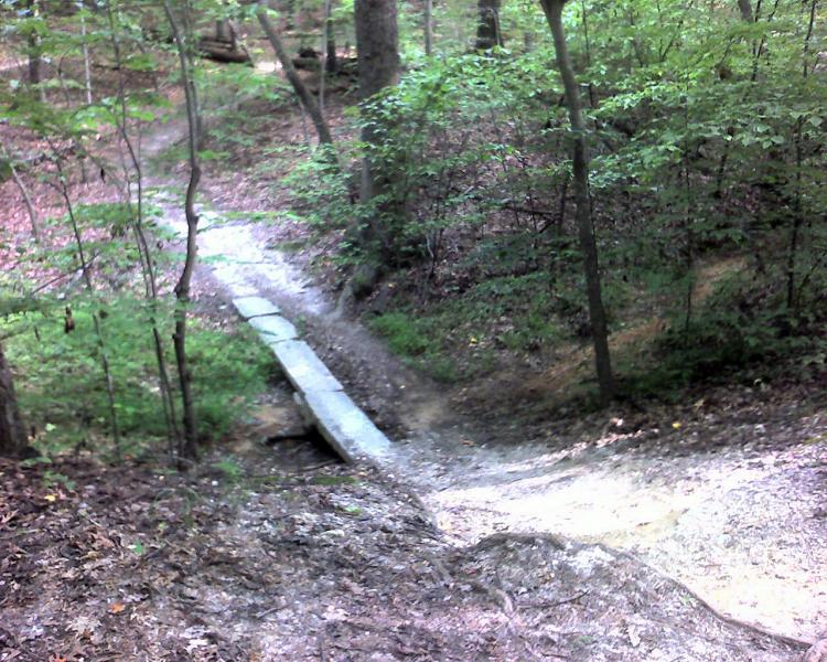A narrow wooden footbridge crossing a small ravine in a lush green forest, surrounded by trees and underbrush. The trail is visible on either side of the bridge, indicating a pathway through the natural setting. Country Park mountain bike trail.