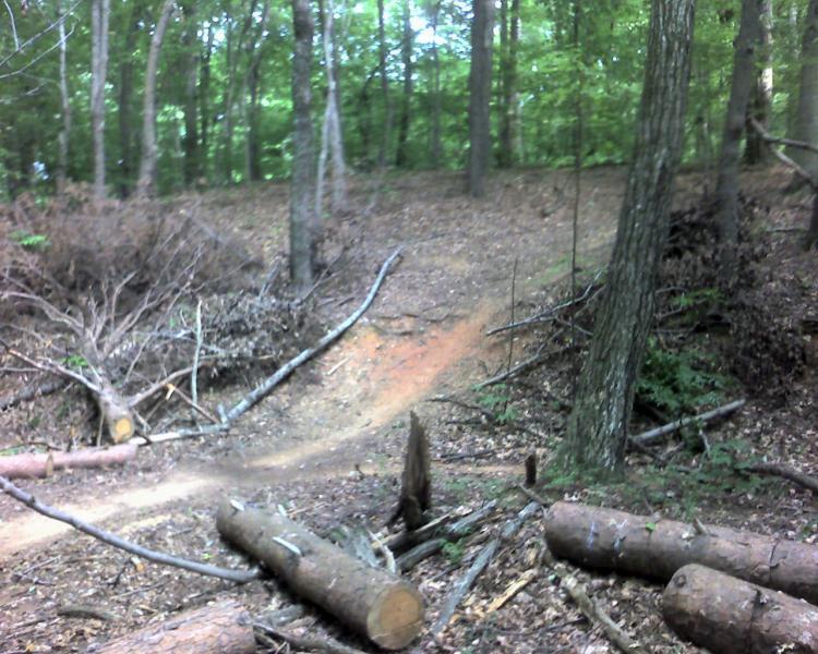 A dirt trail winding through a dense forest, showing a slight incline and scattered logs on the ground. The surroundings are lush with green foliage and trees, creating a natural outdoor setting. Country Park mountain bike trail.
