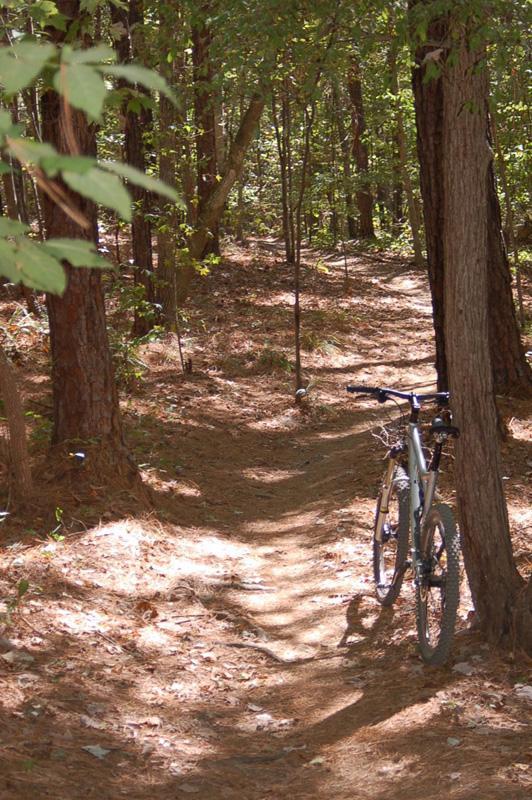 A narrow dirt path winding through a forest, lined with trees and scattered pine needles. A mountain bike is parked beside the trail, casting shadows on the ground under dappled sunlight. Lake Crabtree County Park mountain bike trail.