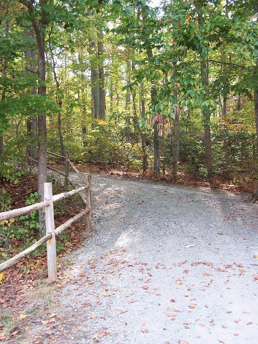 A winding gravel path meanders through a vibrant forest, bordered by a wooden fence. The trees are lush and green, with hints of autumn colors peeking through as leaves begin to change. Sunlight filters softly through the foliage, creating a peaceful and inviting atmosphere. Finch Park mountain bike trail.