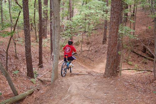 A mountain biker in a red shirt rides along a winding dirt trail through a wooded area, surrounded by tall trees and dense greenery. The path is dappled with sunlight and lined with fallen leaves. Hog Run/Harris Lake mountain bike trail.