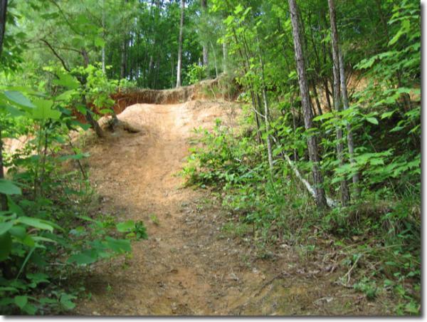 A dirt path leading up a gentle slope, surrounded by lush green foliage and trees. The terrain is sandy with a slight incline, and the scene captures a tranquil, natural environment. Legend Park mountain bike trail.