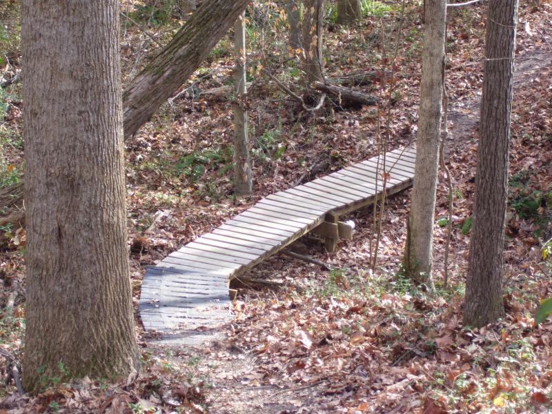 Wooden bridge spanning a small pathway in a forested area, surrounded by trees and fallen leaves on the ground. Legend Park mountain bike trail.