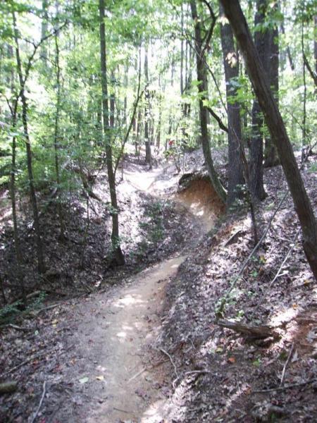 A winding dirt trail through a lush forest, surrounded by tall trees and dappled sunlight filtering through the leaves. The path is slightly elevated on one side, revealing a natural slope and scattered foliage along the edges. Owls Roost (Bur-Mil Park) mountain bike trail.