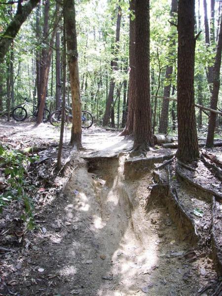 A sunlit forest trail featuring a dirt path with exposed tree roots and a small dip, surrounded by tall trees. In the background, several mountain bikes are visible near the trail. The scene conveys a natural outdoor environment suitable for biking. Owls Roost (Bur-Mil Park) mountain bike trail.