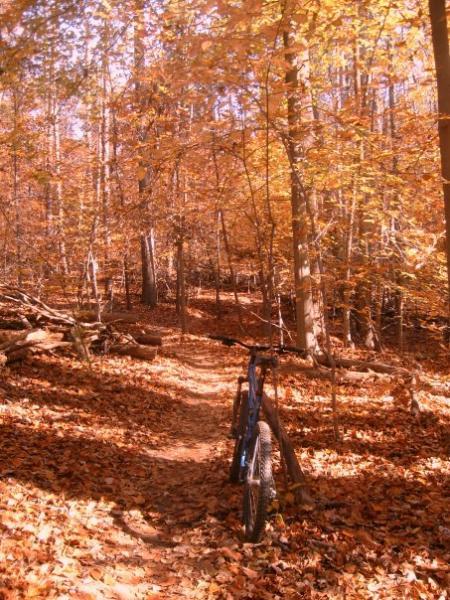 A mountain bike rests on a dirt path surrounded by trees with vibrant autumn foliage. The ground is covered in fallen orange and brown leaves, creating a picturesque fall scene in a wooded area. Owls Roost (Bur-Mil Park) mountain bike trail.
